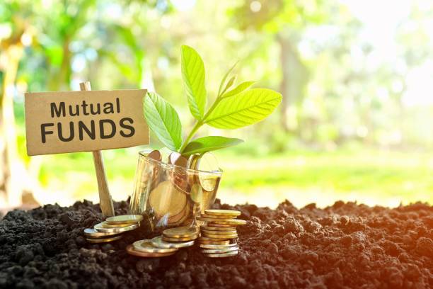 ETFs vs Mutual Funds: Which is Better for You? post thumbnail image
